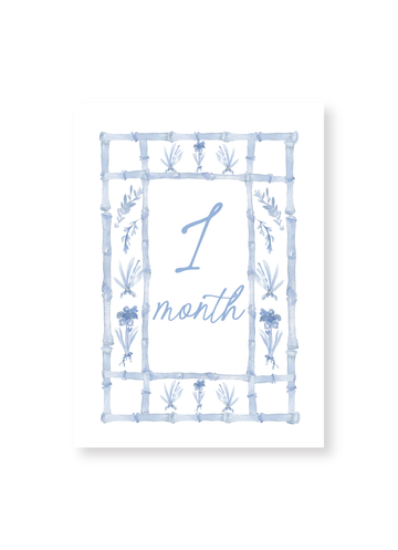 Blue Baby Milestone Cards