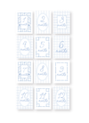 Blue Baby Milestone Cards