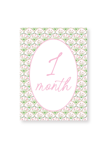 Pink Baby Milestone Cards